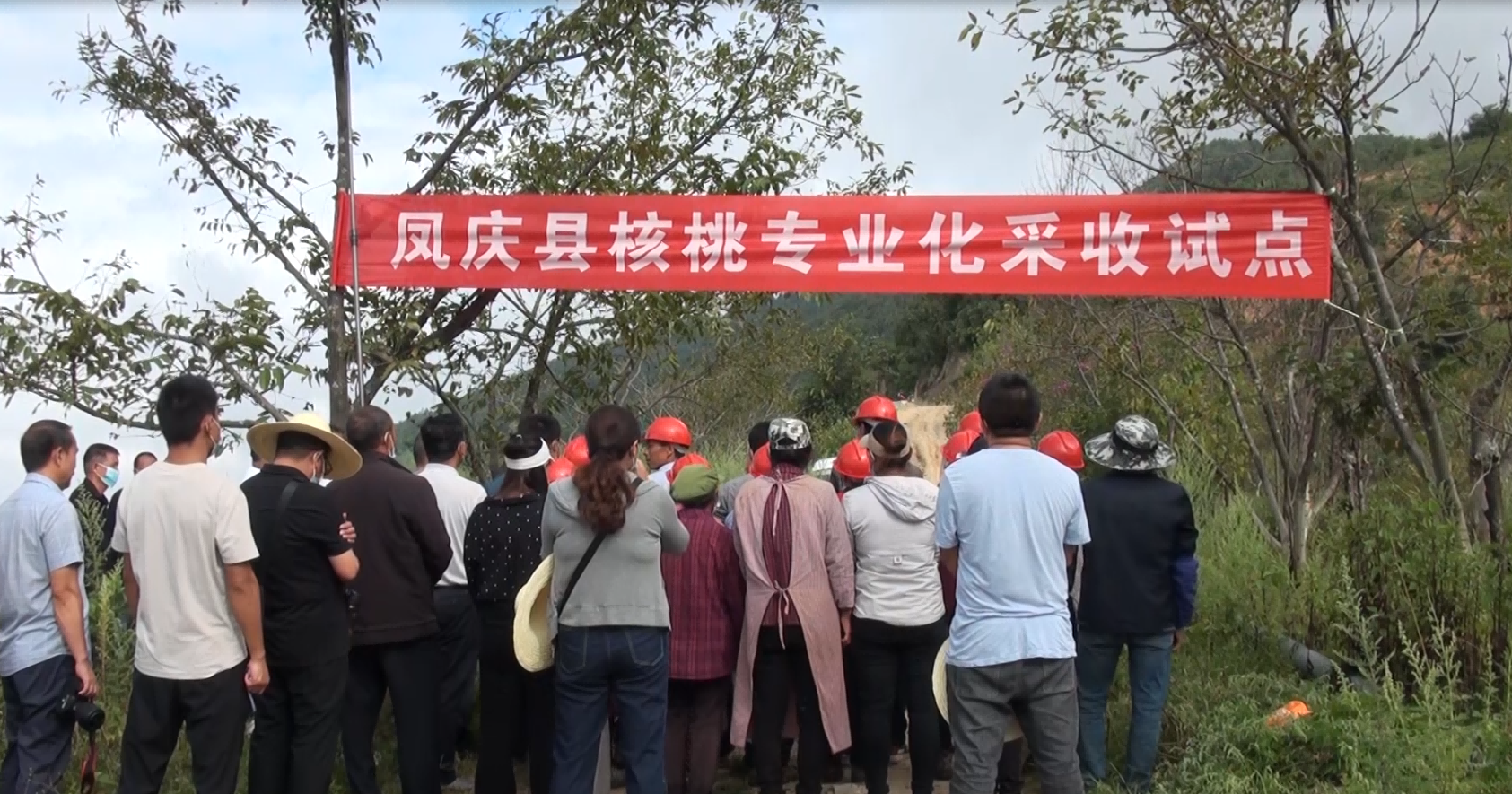 圖片關鍵詞